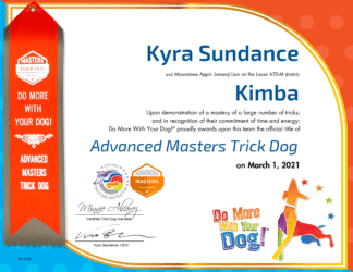 ATD-M Certificate & Ribbon