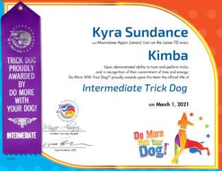 ITD Certificate & Ribbon