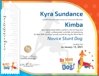 NSD Certificate & Ribbon