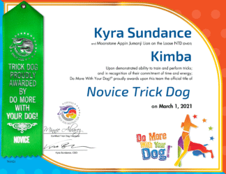 NTD Certificate & Ribbon