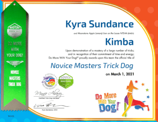 NTD-M Certificate & Ribbon
