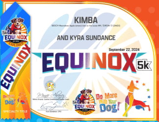 Equinox Explorer 2024 Certificate & Ribbon