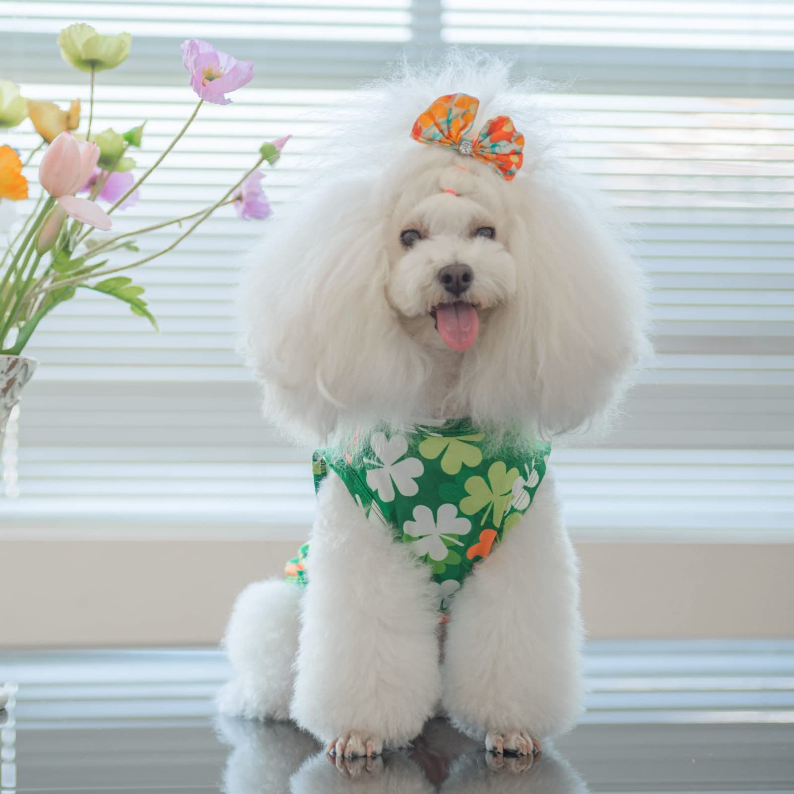 ☘️Shamrock Shenanigans 2026 - Image 15