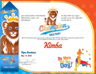 TPCH Certificate & Ribbon