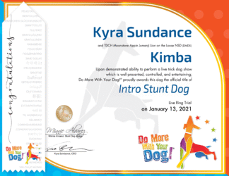 ISD Certificate & Ribbon