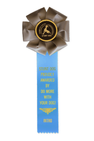 Intro Stunt Dog (ISD) Rosette