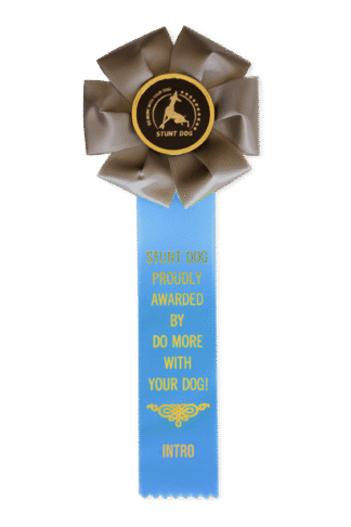 Intro Stunt Dog (ISD) Rosette