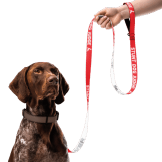 Stunt Dog Judge - Silver (Leash)