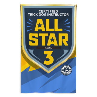 CTDI All-Star 3x