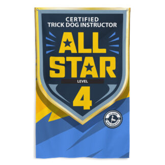 CTDI All-Star 4x