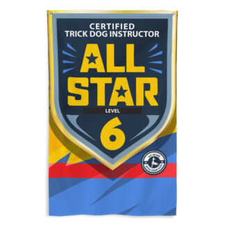 CTDI All-Star 6x