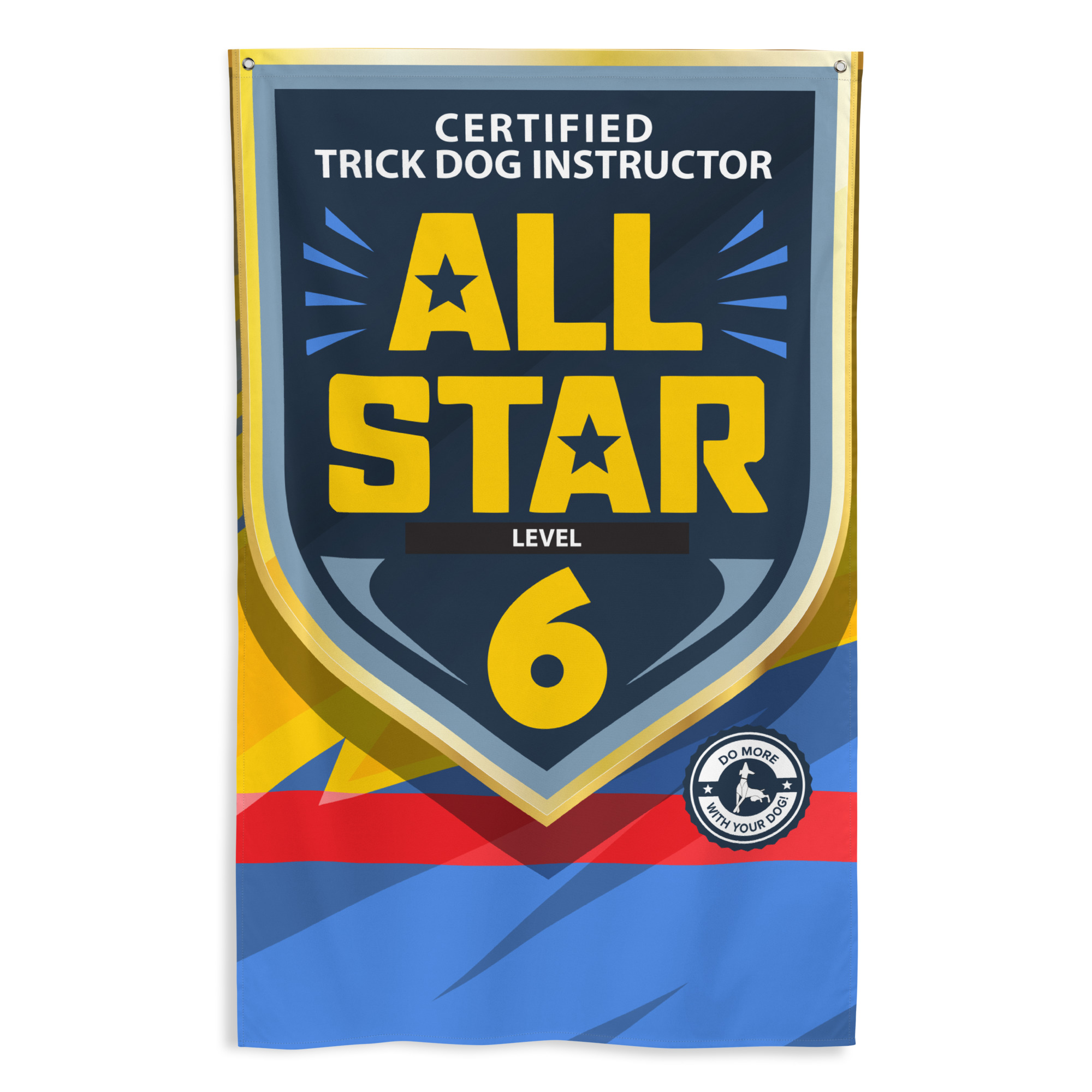 CTDI All-Star 6x
