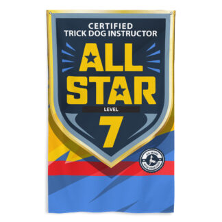 CTDI All-Star 7x