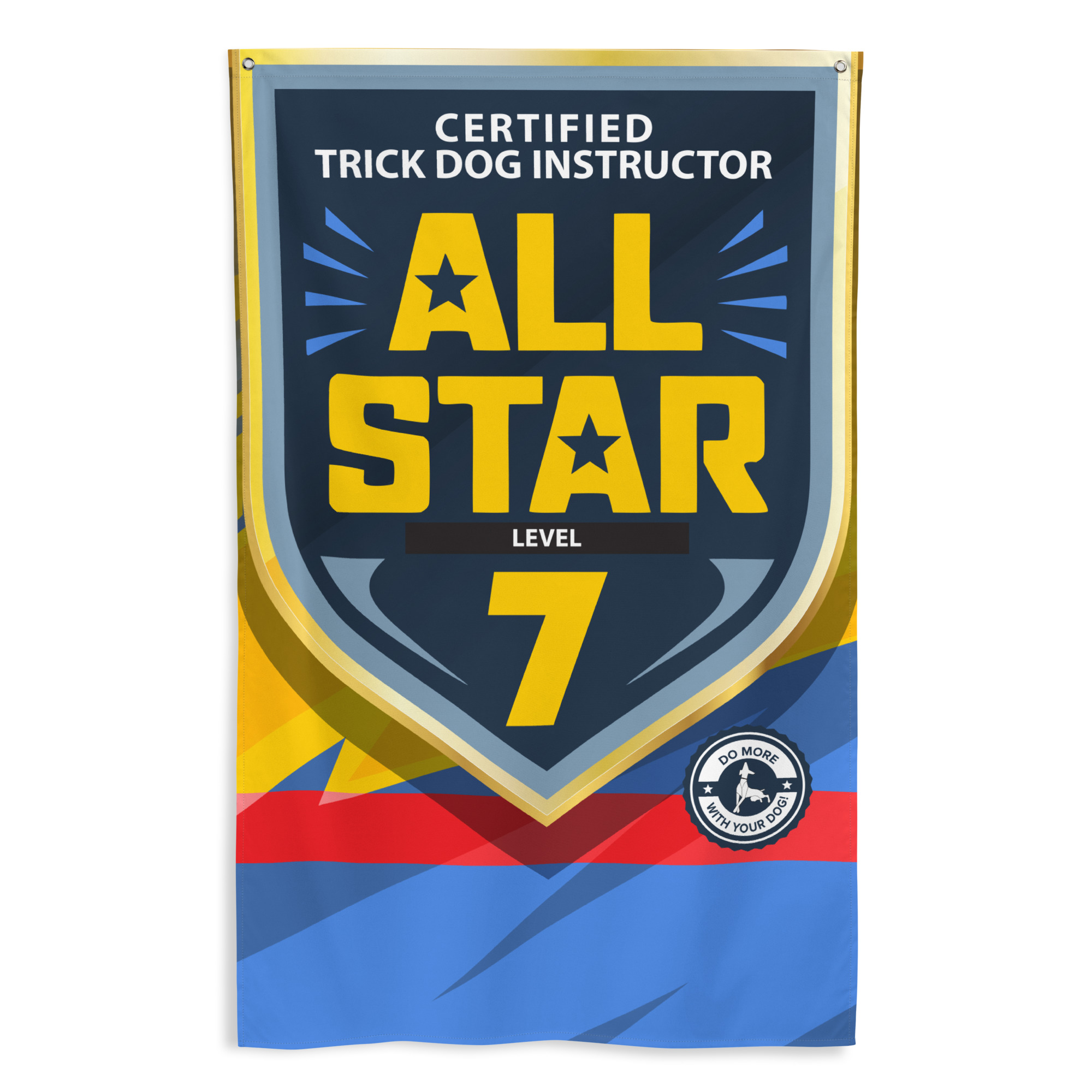 CTDI All-Star 7x