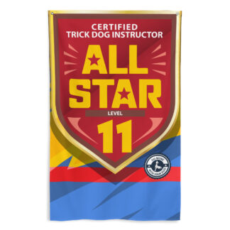 CTDI All-Star 11x