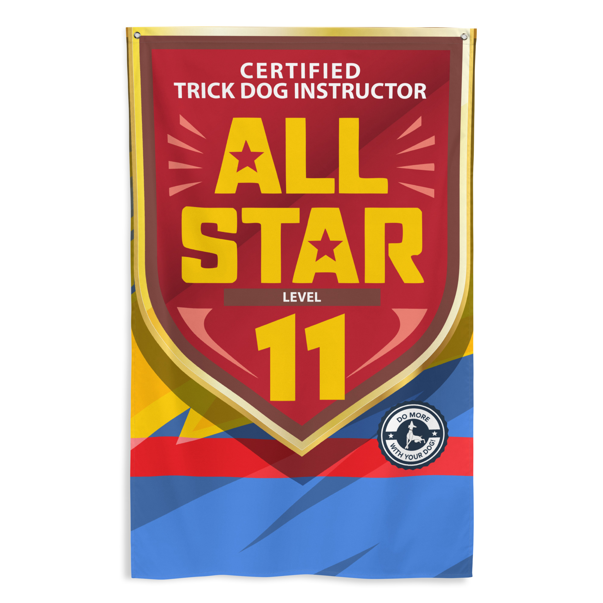CTDI All-Star 11x