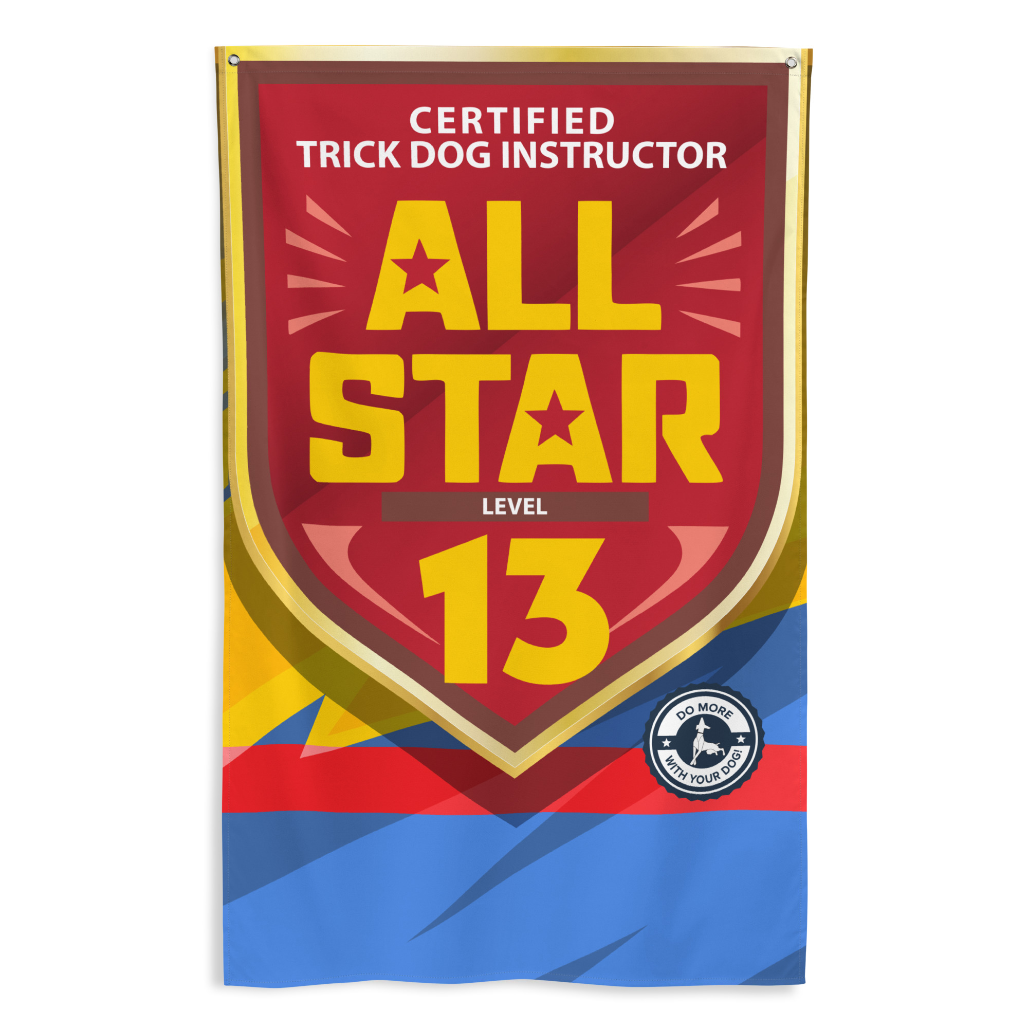 CTDI All-Star 13x