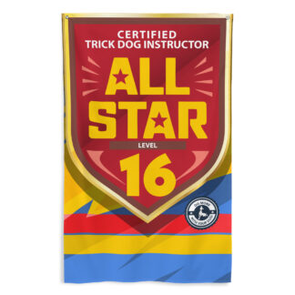 CTDI All-Star 16x
