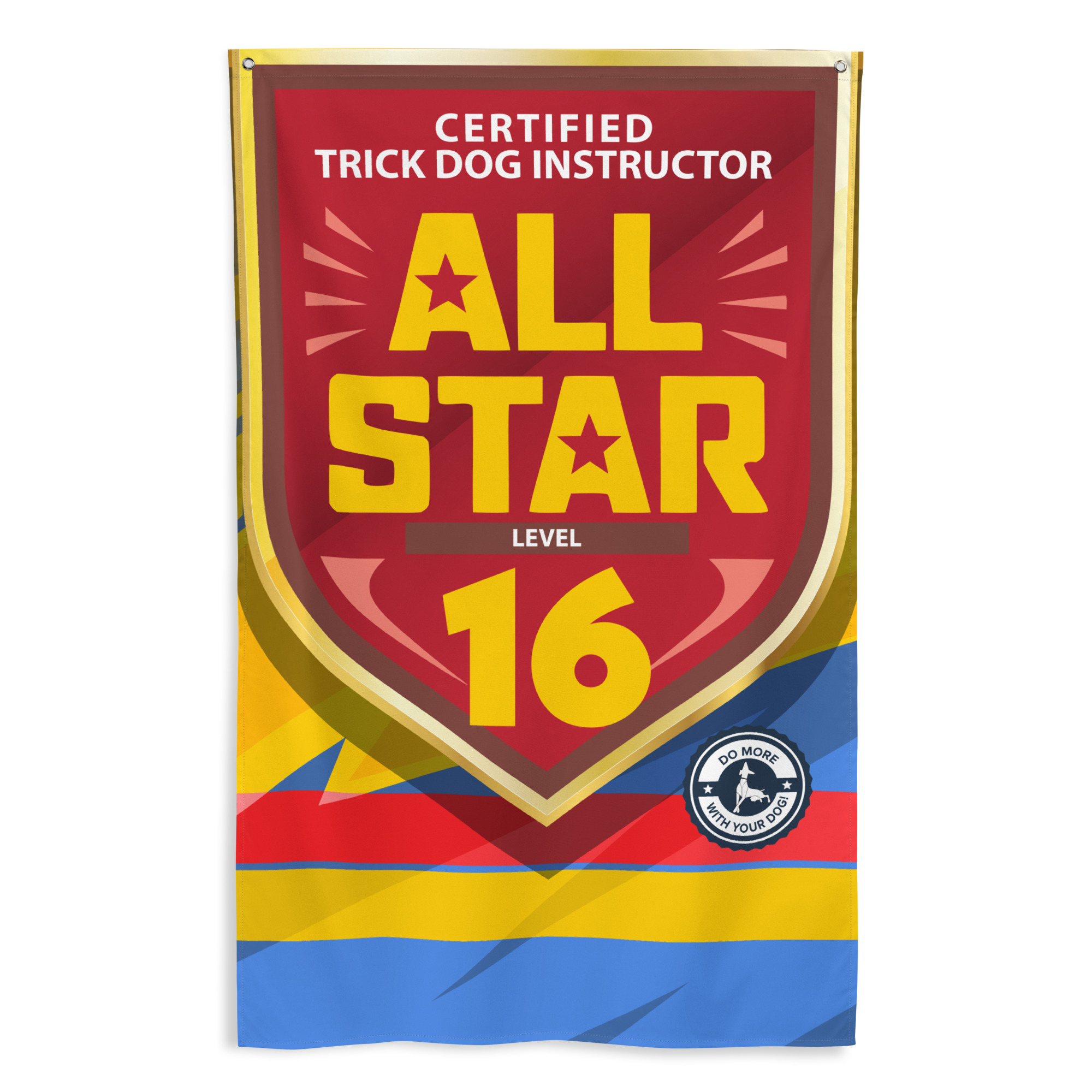 CTDI All-Star 16x