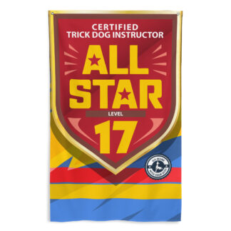 CTDI All-Star 17x