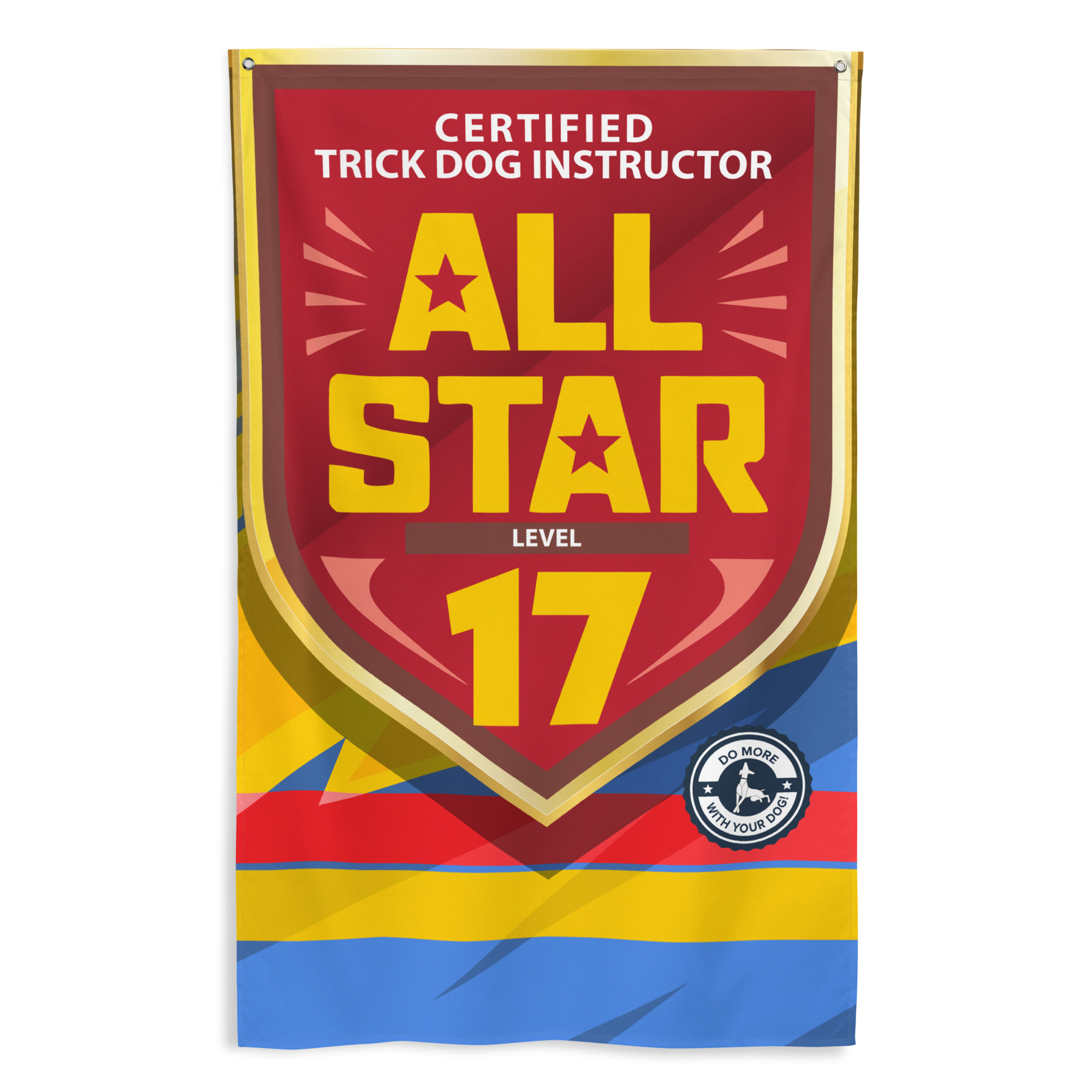 CTDI All-Star 17x