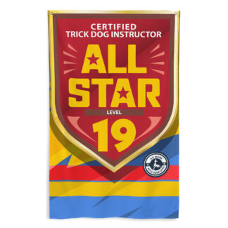 CTDI All-Star 19x
