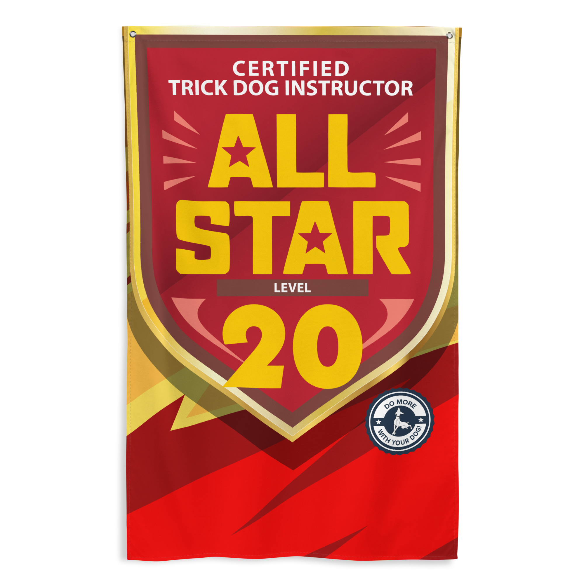 CTDI All-Star 20x