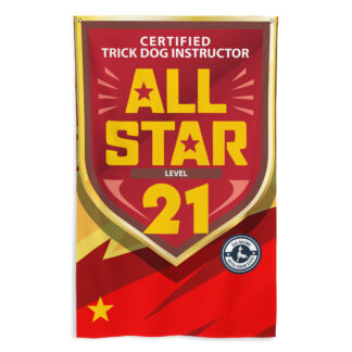 CTDI All-Star 21x
