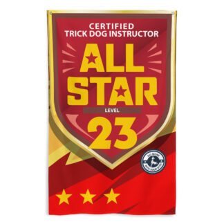 CTDI All-Star 23x