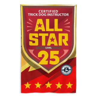 CTDI All-Star 25x