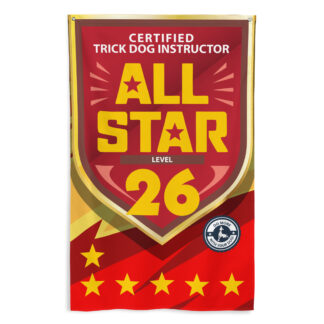 CTDI All-Star 26x