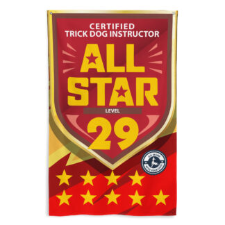 CTDI All-Star 29x