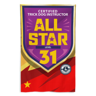 CTDI All-Star 31x