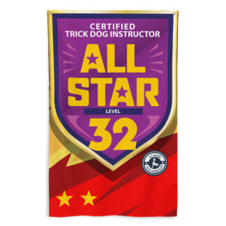 CTDI All-Star 32x
