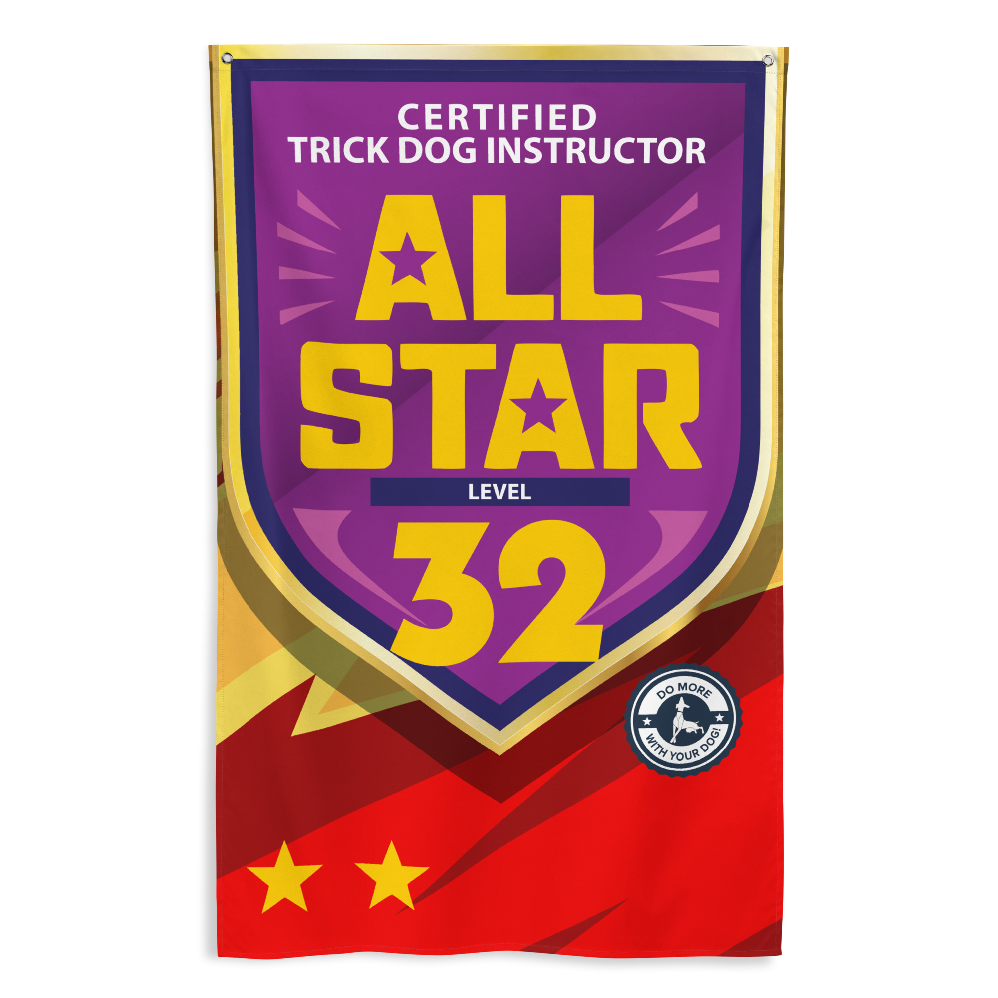 CTDI All-Star 32x