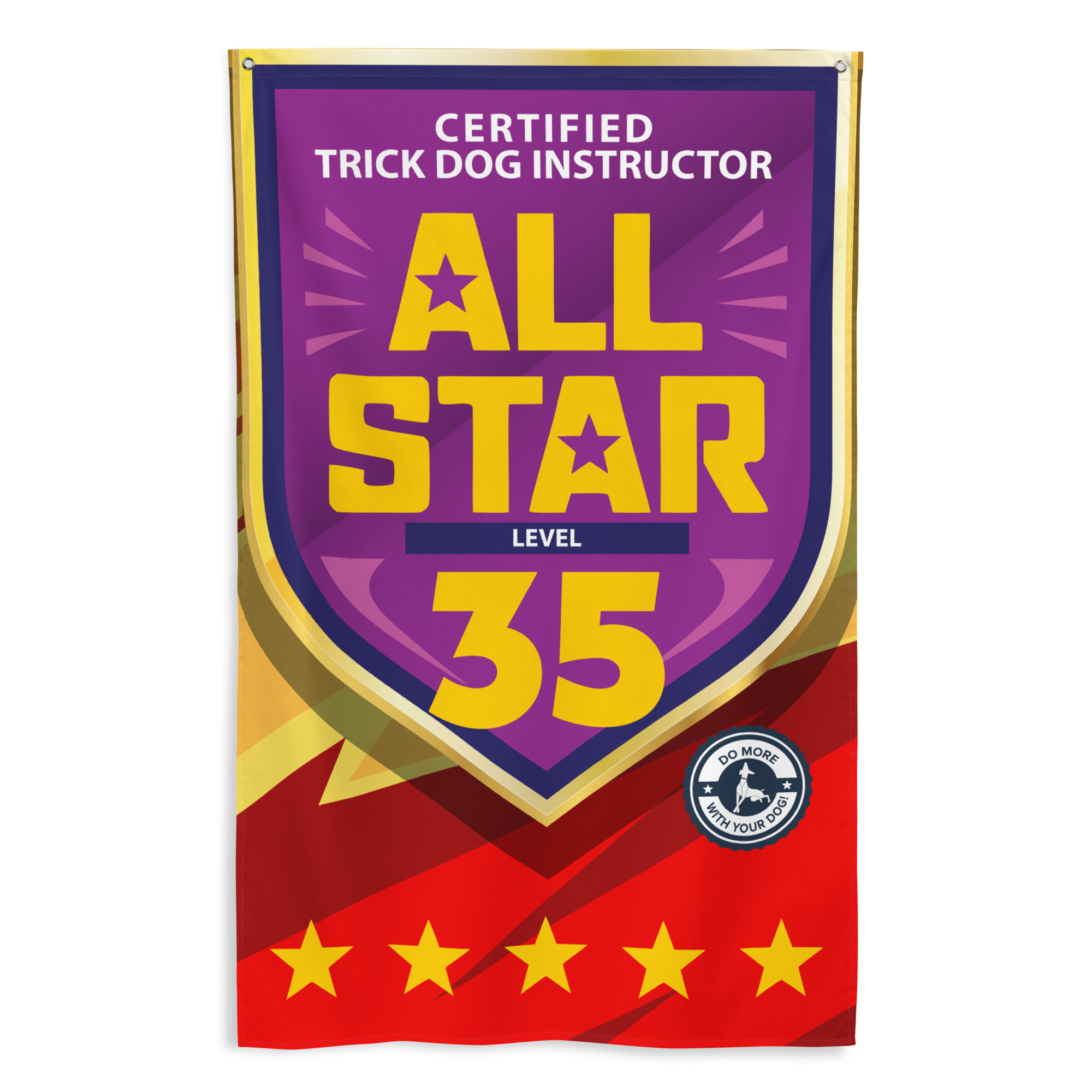 CTDI All-Star 35x
