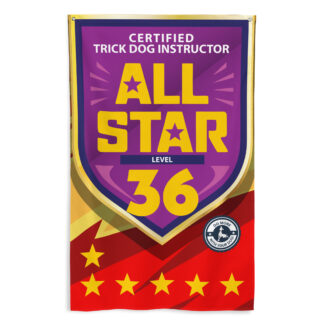 CTDI All-Star 36x