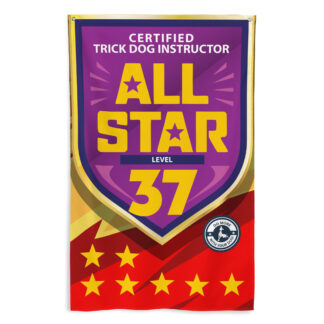 CTDI All-Star 37x