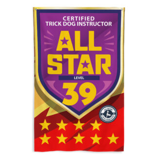 CTDI All-Star 39x