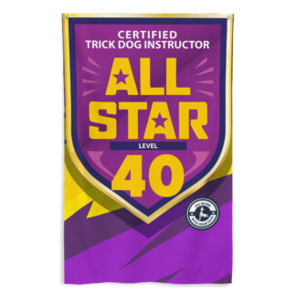 CTDI All-Star 40x