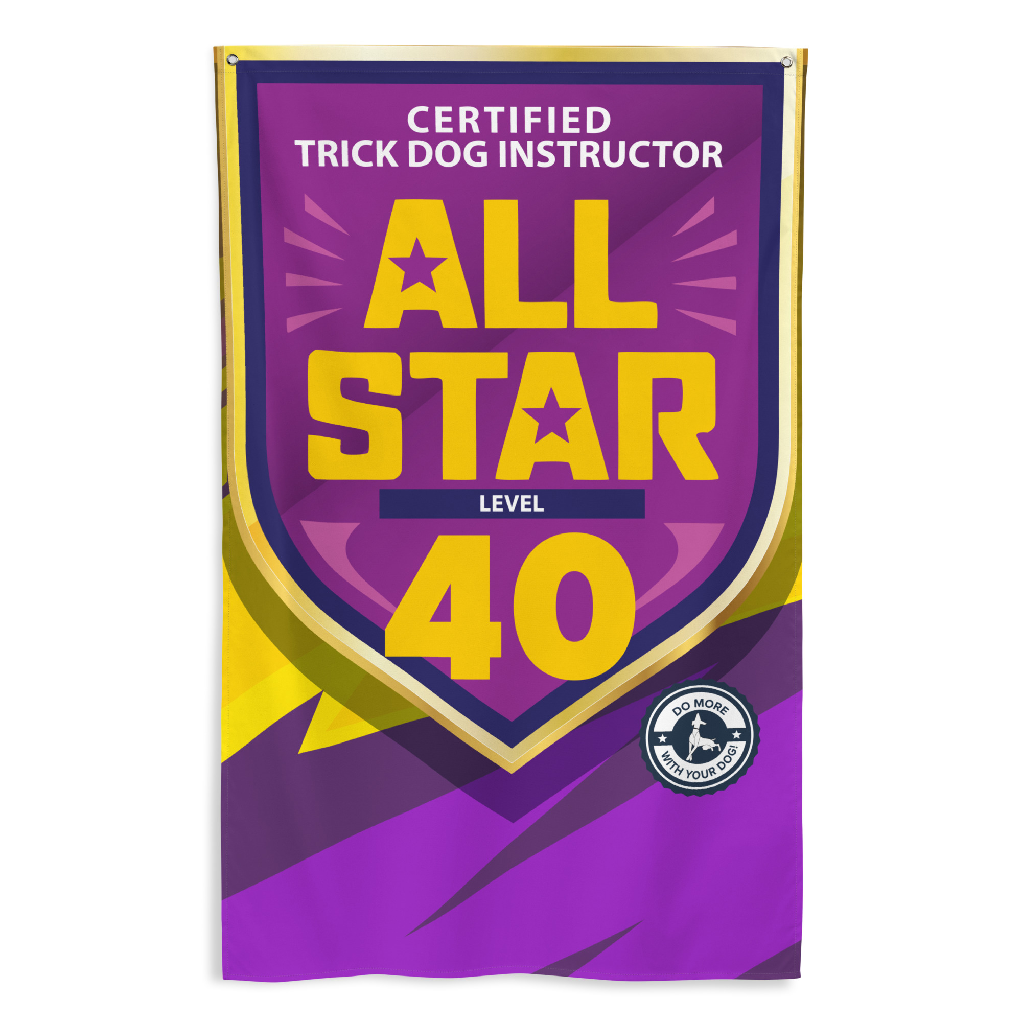 CTDI All-Star 40x