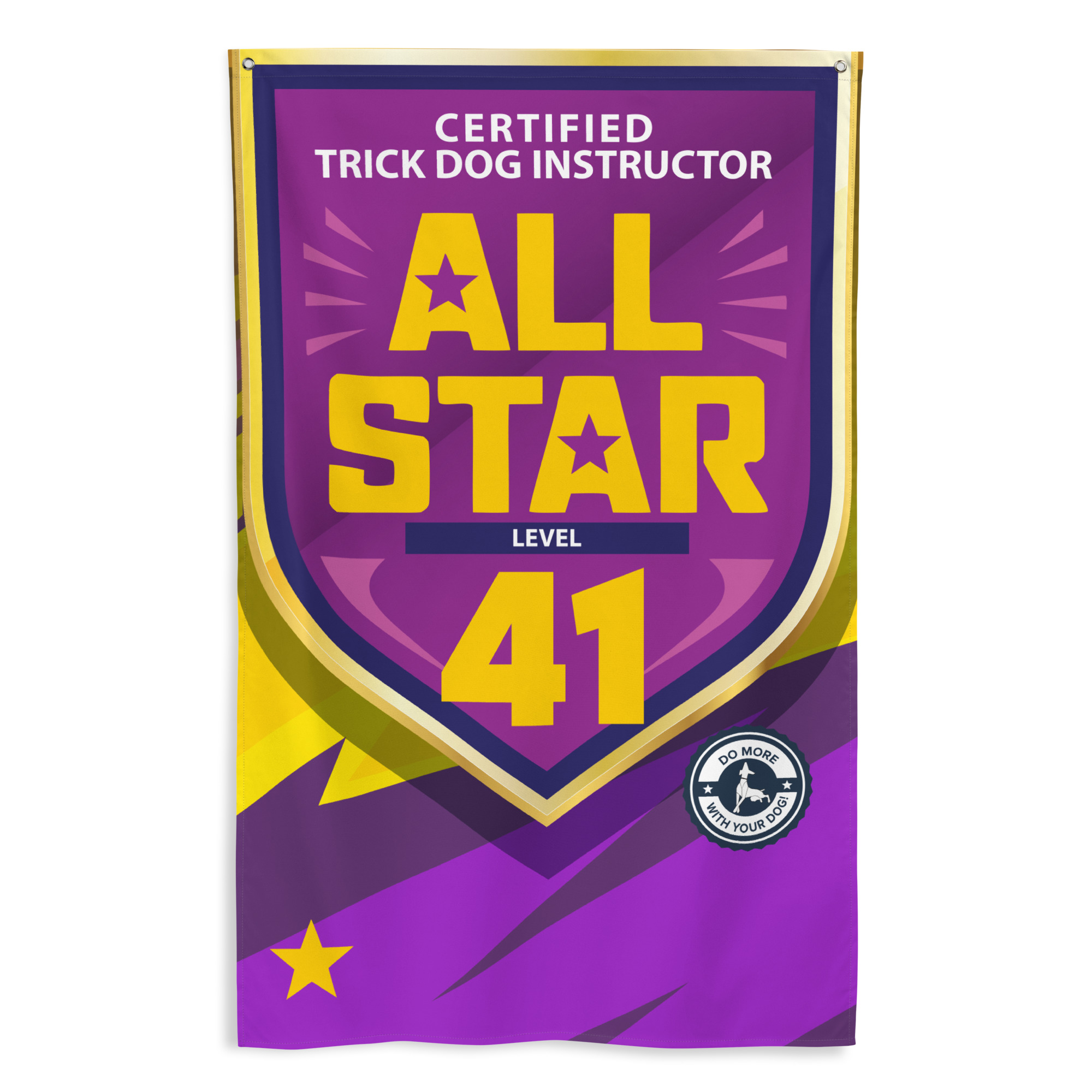 CTDI All-Star 41x