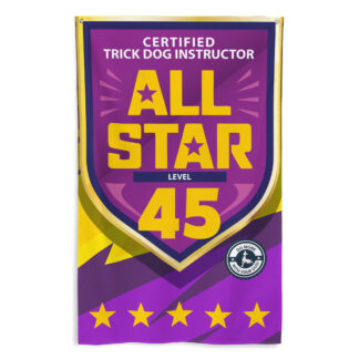 CTDI All-Star 45x