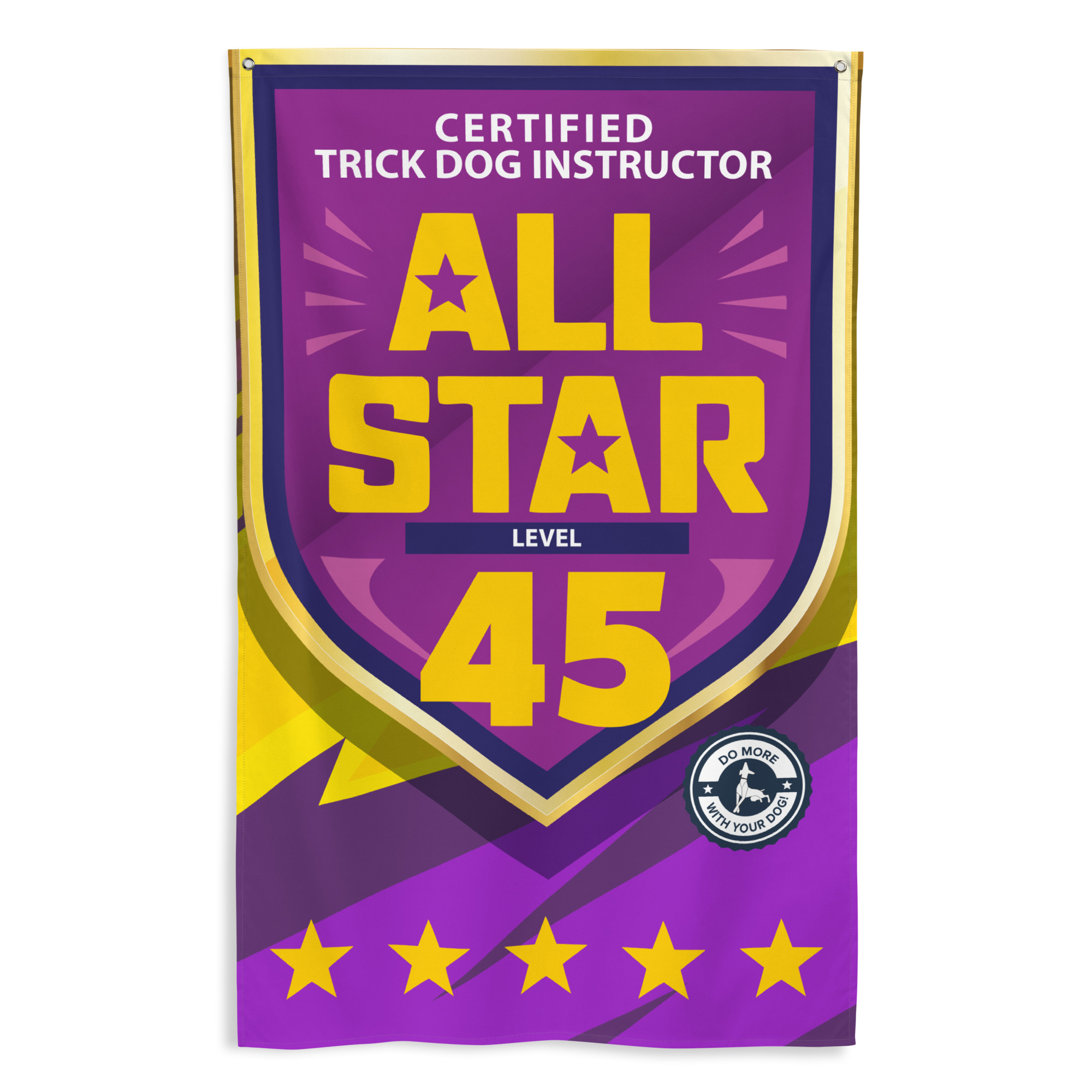 CTDI All-Star 45x