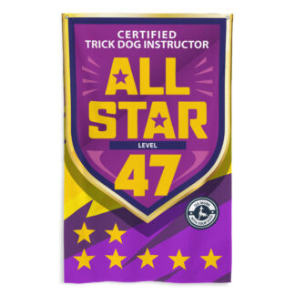CTDI All-Star 47x