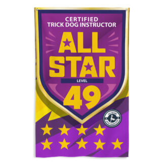 CTDI All-Star 49x