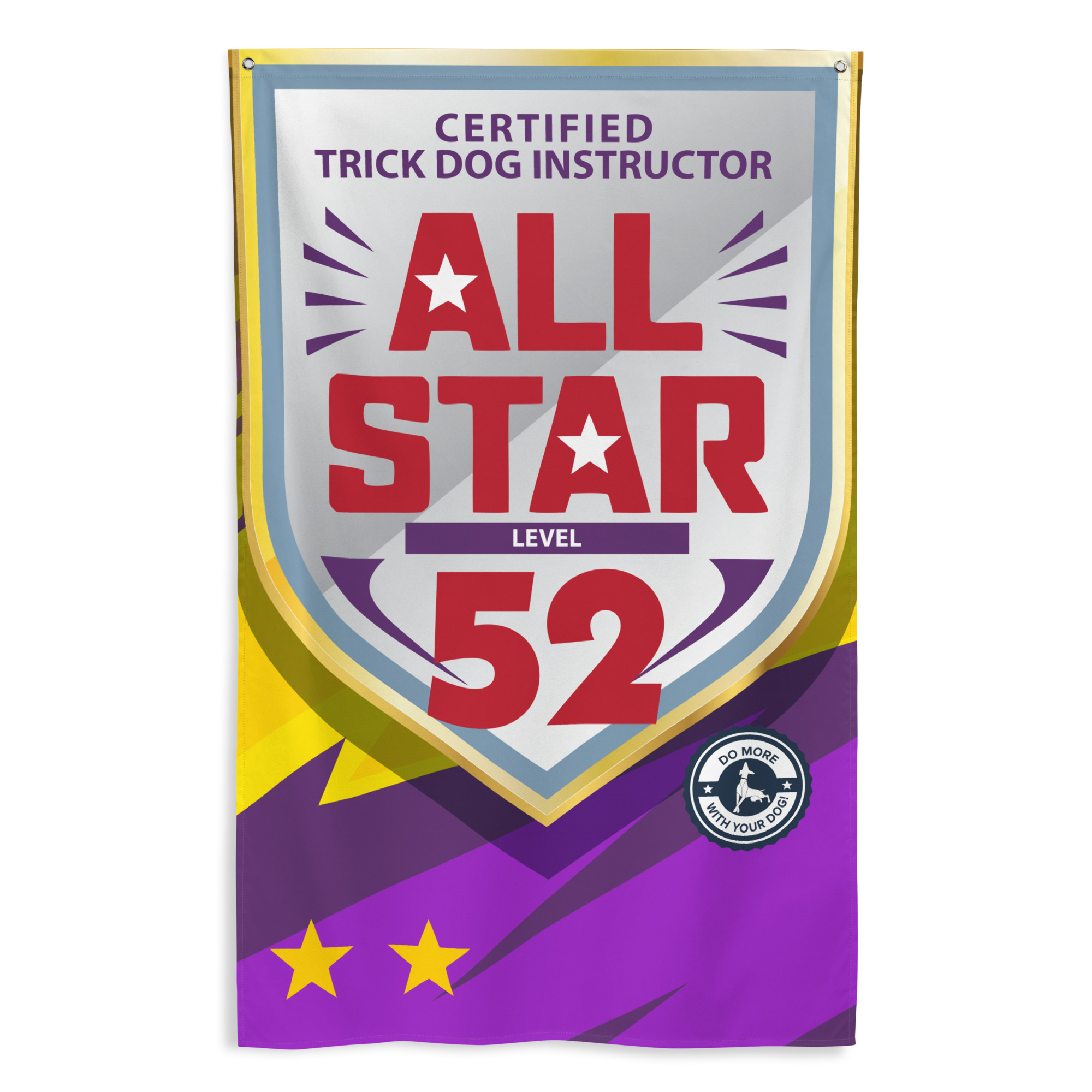 CTDI All-Star 52x