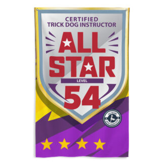 CTDI All-Star 54x