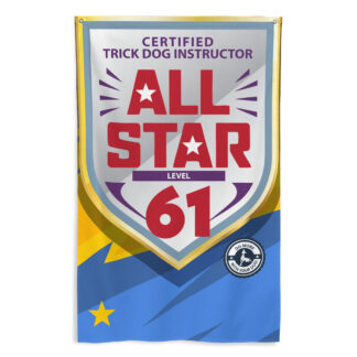 CTDI All-Star 61x