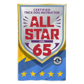 CTDI All-Star 65x